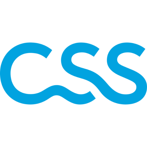 Logo CSS